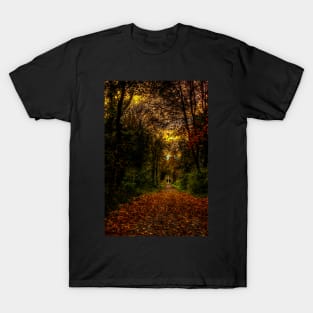 An Autumn Countryside Walk T-Shirt